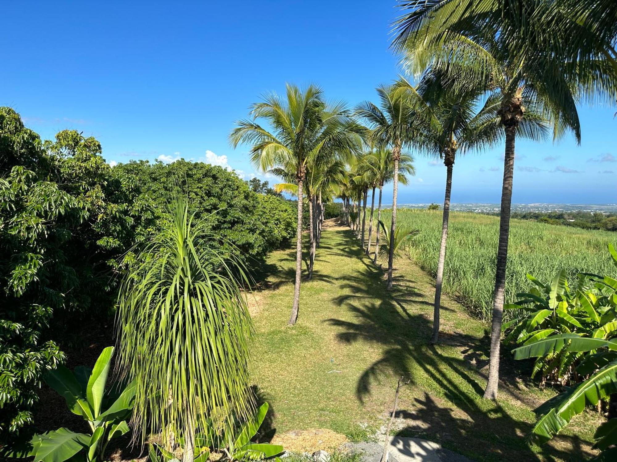 Zoiseaux Pays Bed and Breakfast Saint Pierre Buitenkant foto