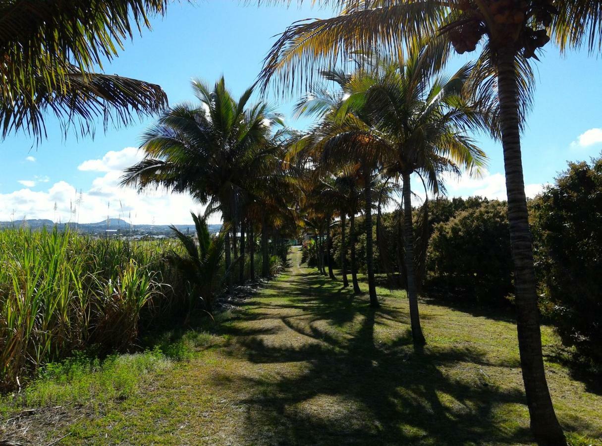 Zoiseaux Pays Bed and Breakfast Saint Pierre Buitenkant foto